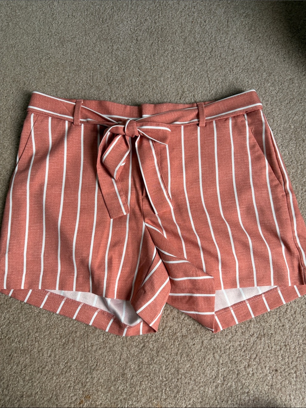 Banana Republic Striped Tie-Waist Rust Women's Shorts